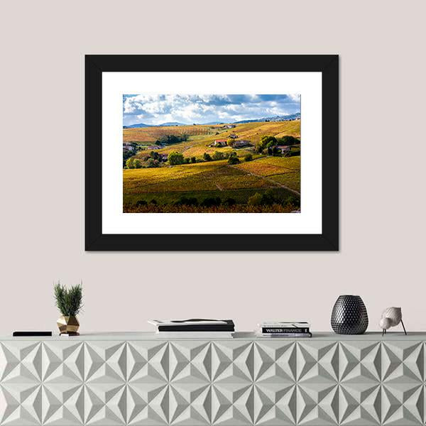 Vineyards Of Beaujolais France Canvas Wall Art-1 Piece-Framed Print-30" x 20"-Tiaracle