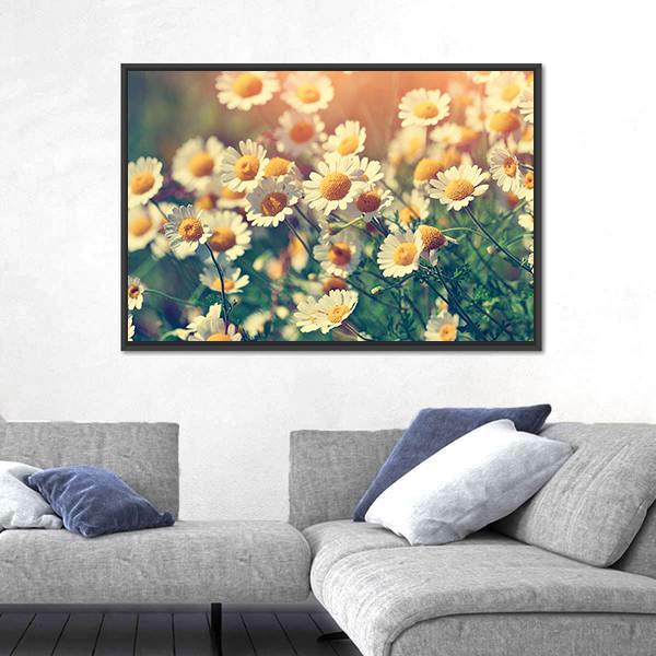 Vintage Wild Chamomile Flowers Canvas Wall Art-5 Horizontal-Gallery Wrap-22" x 12"-Tiaracle