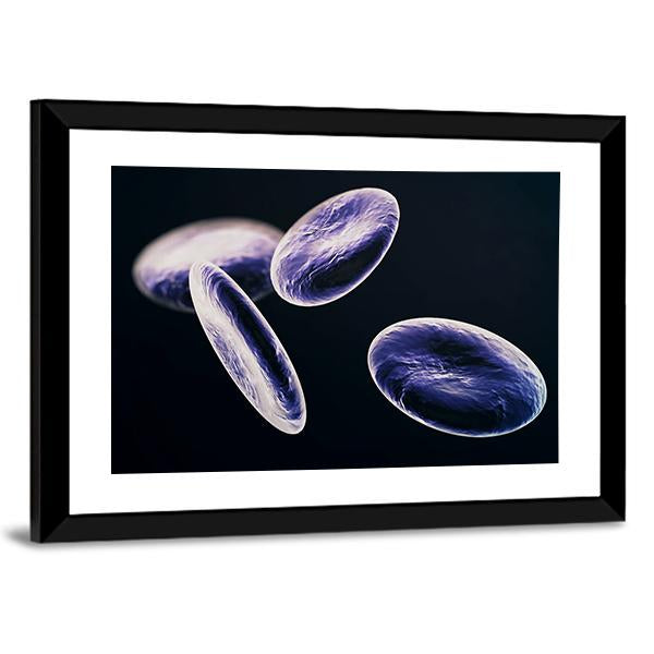 White Blood Cells Canvas Wall Art-5 Horizontal-Gallery Wrap-22" x 12"-Tiaracle