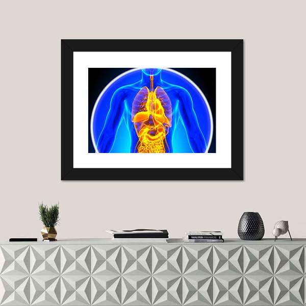 X-Ray Scan Of Organs Canvas Wall Art-1 Piece-Framed Print-20" x 16"-Tiaracle