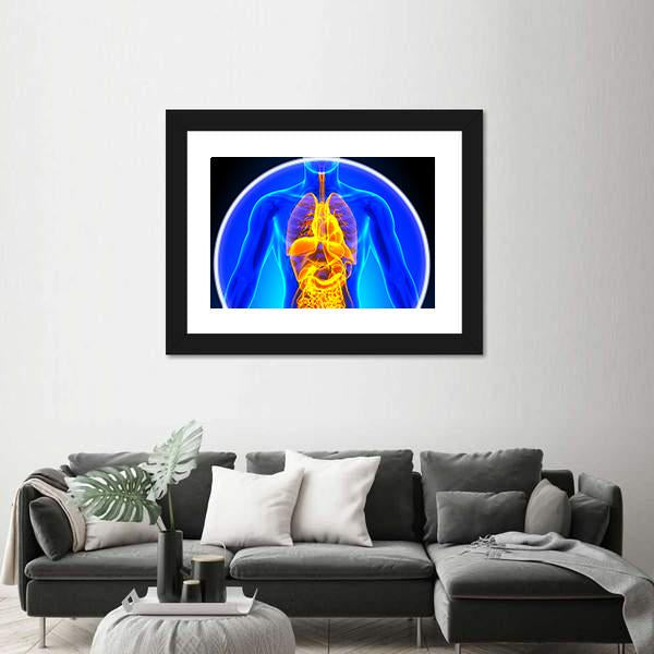 X-Ray Scan Of Organs Canvas Wall Art-5 Horizontal-Gallery Wrap-22" x 12"-Tiaracle