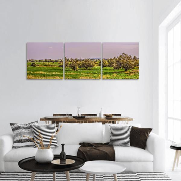 Agriculture Landscape Panoramic Canvas Wall Art-3 Piece-25" x 08"-Tiaracle