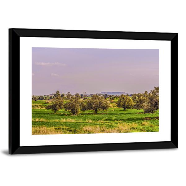 Agriculture Landscape Panoramic Canvas Wall Art-1 Piece-36" x 12"-Tiaracle