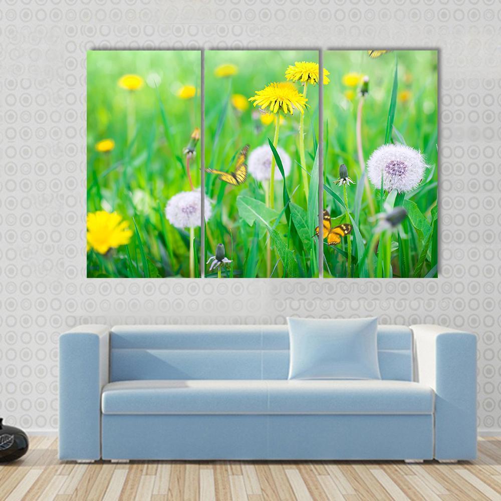 Air Dandelions On Green Field Canvas Wall Art-3 Horizontal-Gallery Wrap-37" x 24"-Tiaracle