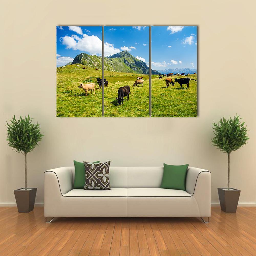 Animals In Highland Alpine Meadow Canvas Wall Art-3 Horizontal-Gallery Wrap-37" x 24"-Tiaracle