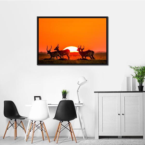 Antelope Against Sunrise Canvas Wall Art-1 Piece-Floating Frame-24" x 16"-Tiaracle