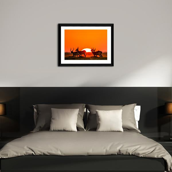 Antelope Against Sunrise Canvas Wall Art-5 Horizontal-Gallery Wrap-22" x 12"-Tiaracle