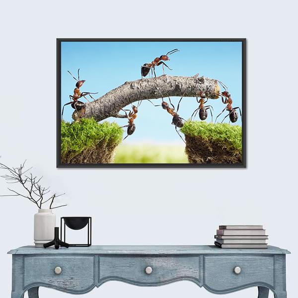 Ants Constructing Bridge Canvas Wall Art-5 Horizontal-Gallery Wrap-22" x 12"-Tiaracle