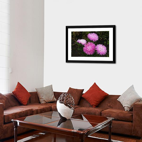 Asters Flowers Canvas Wall Art-3 Horizontal-Gallery Wrap-25" x 16"-Tiaracle