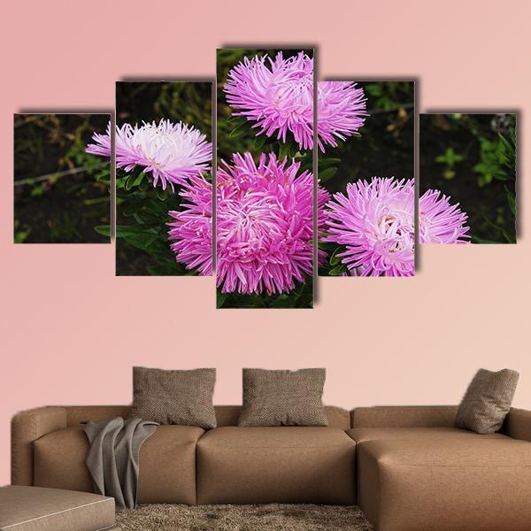 Asters Flowers Canvas Wall Art-5 Star-Gallery Wrap-62" x 32"-Tiaracle