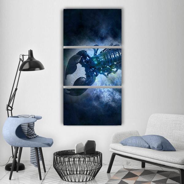 Cancer Sign Vertical Canvas Wall Art-3 Vertical-Gallery Wrap-12" x 25"-Tiaracle