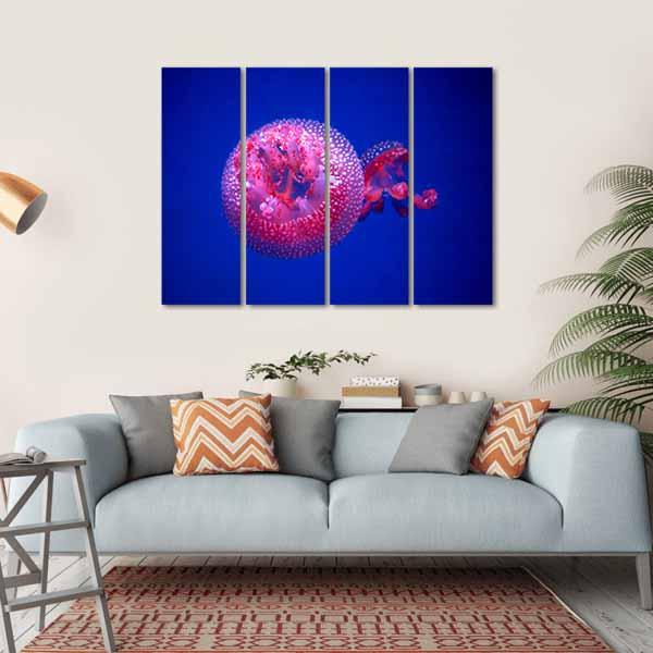 Australian Spotted Jellyfish Canvas Wall Art-4 Horizontal-Gallery Wrap-34" x 24"-Tiaracle