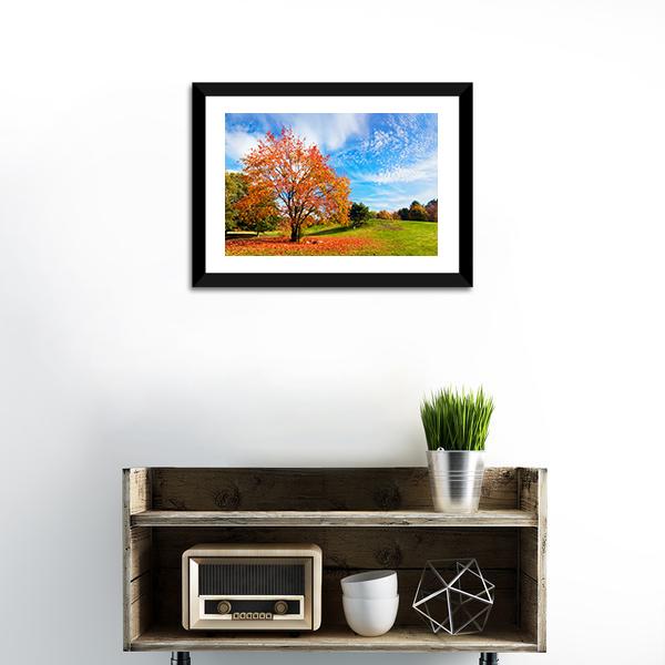 Autumn Fall Landscape With A Tree Canvas Wall Art-1 Piece-Framed Print-20" x 16"-Tiaracle