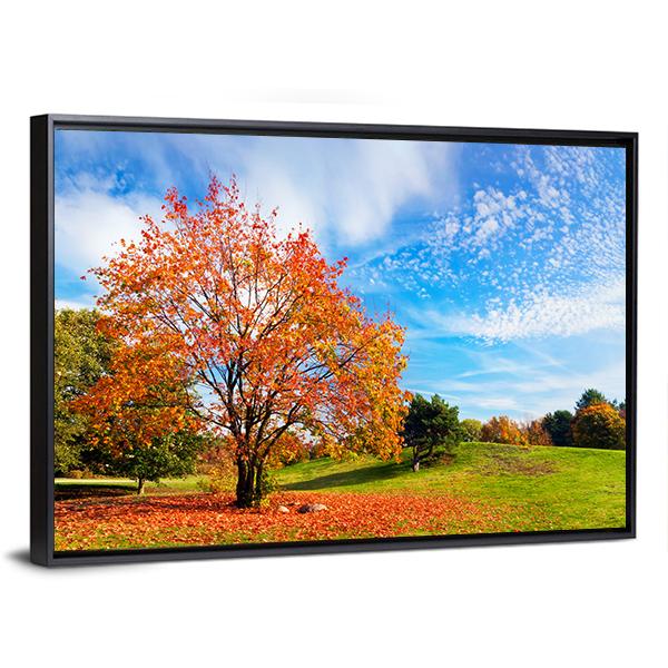 Autumn Fall Landscape With A Tree Canvas Wall Art-3 Horizontal-Gallery Wrap-25" x 16"-Tiaracle