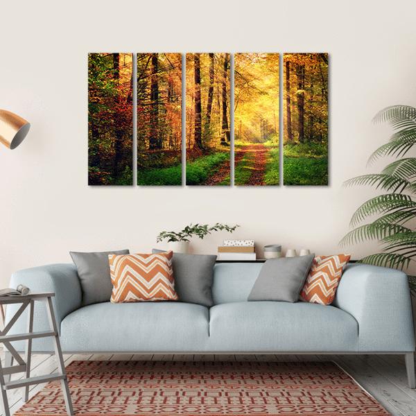 Autumn Forest Pathway Canvas Wall Art-5 Horizontal-Gallery Wrap-22" x 12"-Tiaracle