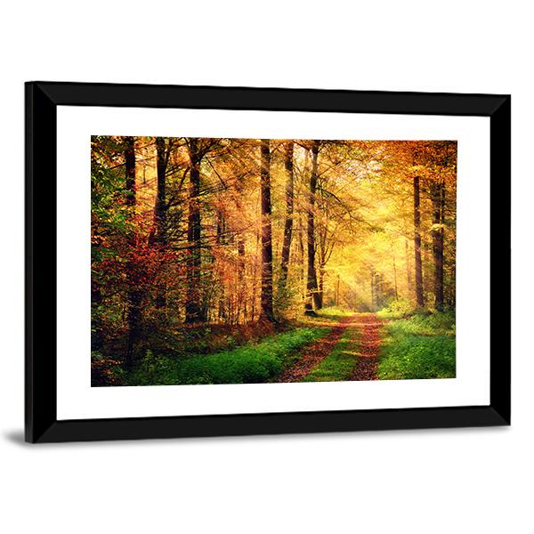 Autumn Forest Pathway Panoramic Canvas Wall Art-1 Piece-36" x 12"-Tiaracle