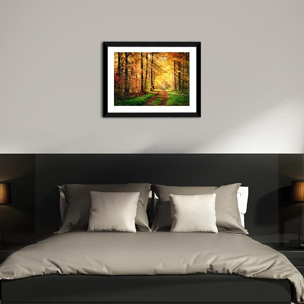 Autumn Forest Pathway Panoramic Canvas Wall Art-1 Piece-36" x 12"-Tiaracle