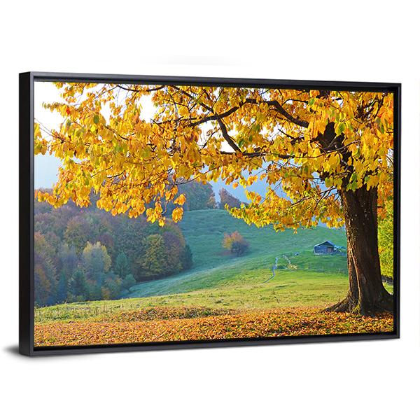 Autumn Trees & Fallen Leaves Canvas Wall Art-3 Horizontal-Gallery Wrap-25" x 16"-Tiaracle