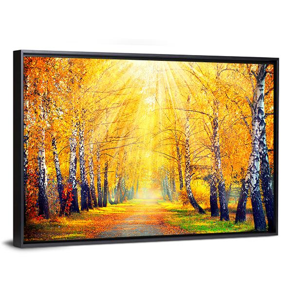 Autumn Trees In Sun Rays Canvas Wall Art-3 Horizontal-Gallery Wrap-25" x 16"-Tiaracle