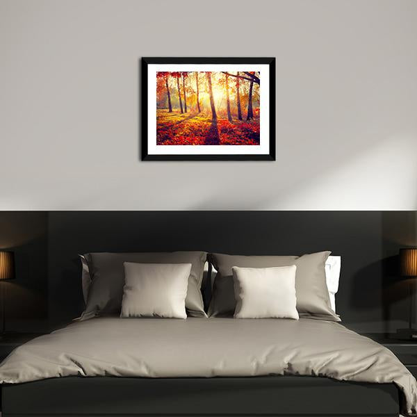 Autumnal Trees In Sun Rays Canvas Wall Art-5 Horizontal-Gallery Wrap-22" x 12"-Tiaracle