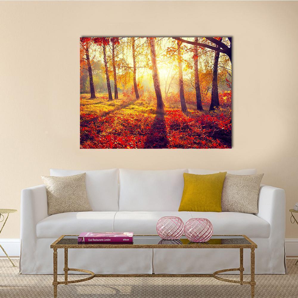 Autumnal Trees In Sun Rays Canvas Wall Art-1 Piece-Gallery Wrap-36" x 24"-Tiaracle