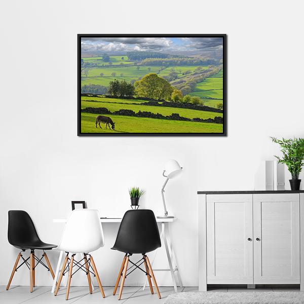 Baby Donkey In Bradfield Canvas Wall Art-3 Horizontal-Gallery Wrap-25" x 16"-Tiaracle
