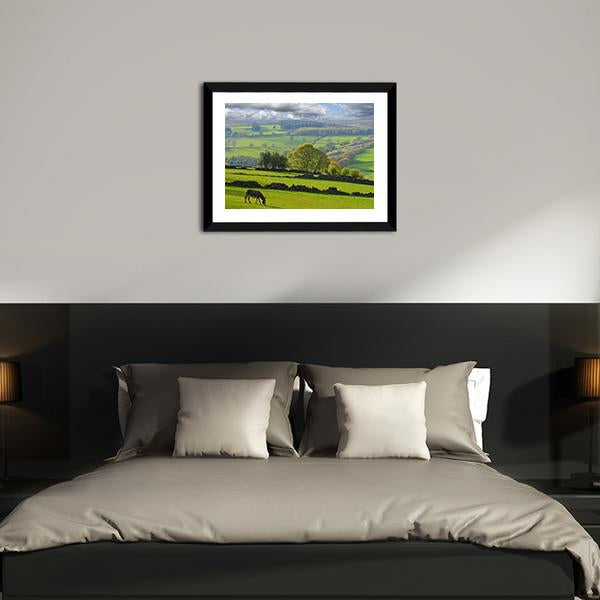 Baby Donkey In Bradfield Canvas Wall Art-3 Horizontal-Gallery Wrap-25" x 16"-Tiaracle