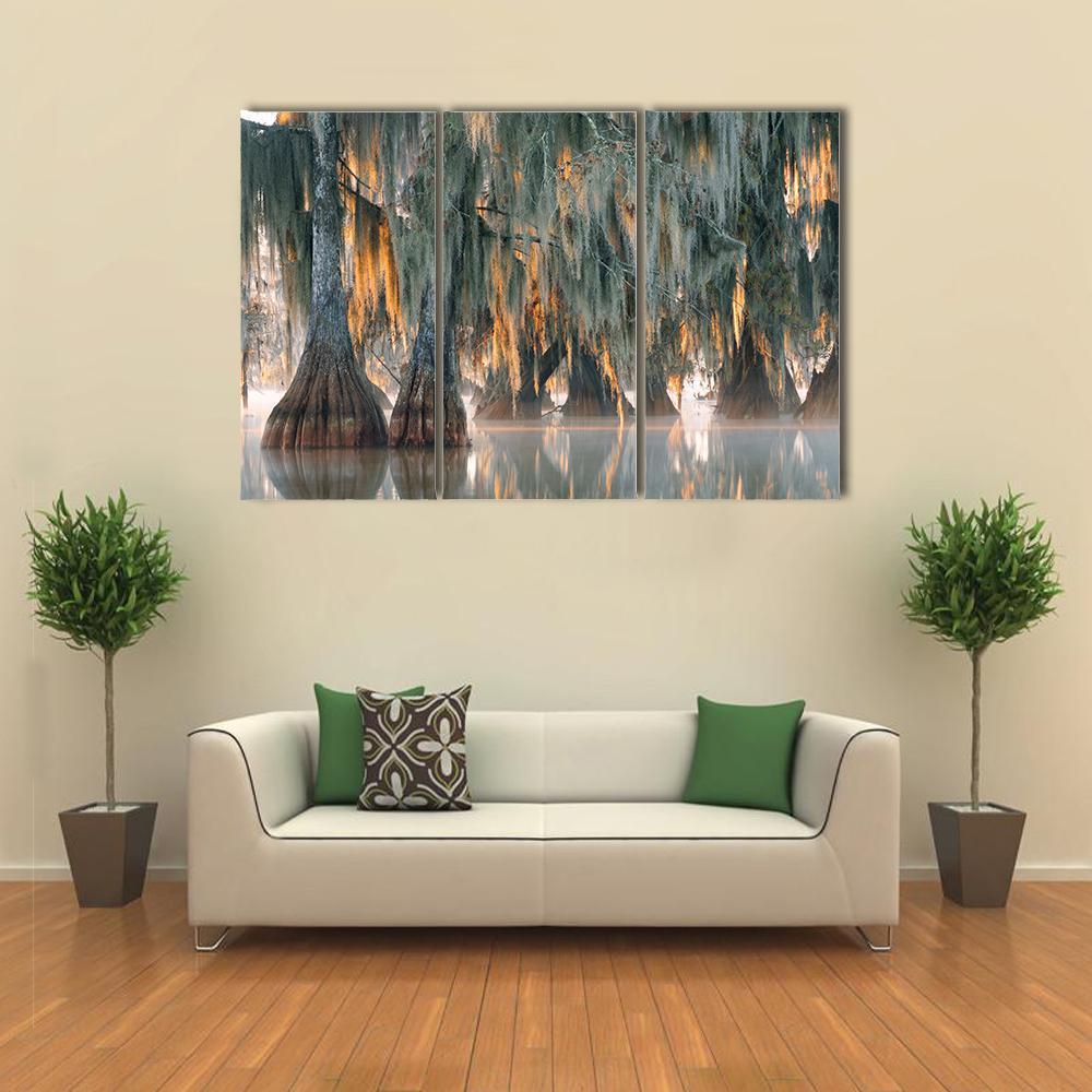 Bald Cypress Trees Canvas Wall Art-3 Horizontal-Gallery Wrap-25" x 16"-Tiaracle