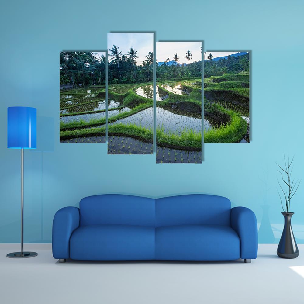 Bali Rice Terraces Canvas Wall Art-4 Pop-Gallery Wrap-50" x 32"-Tiaracle