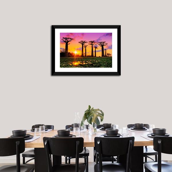Baobab Trees At Sunset Canvas Wall Art-3 Horizontal-Gallery Wrap-25" x 16"-Tiaracle