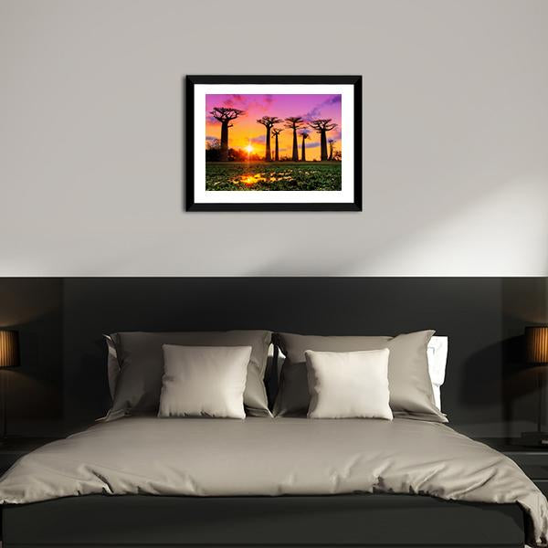 Baobab Trees At Sunset Canvas Wall Art-3 Horizontal-Gallery Wrap-25" x 16"-Tiaracle