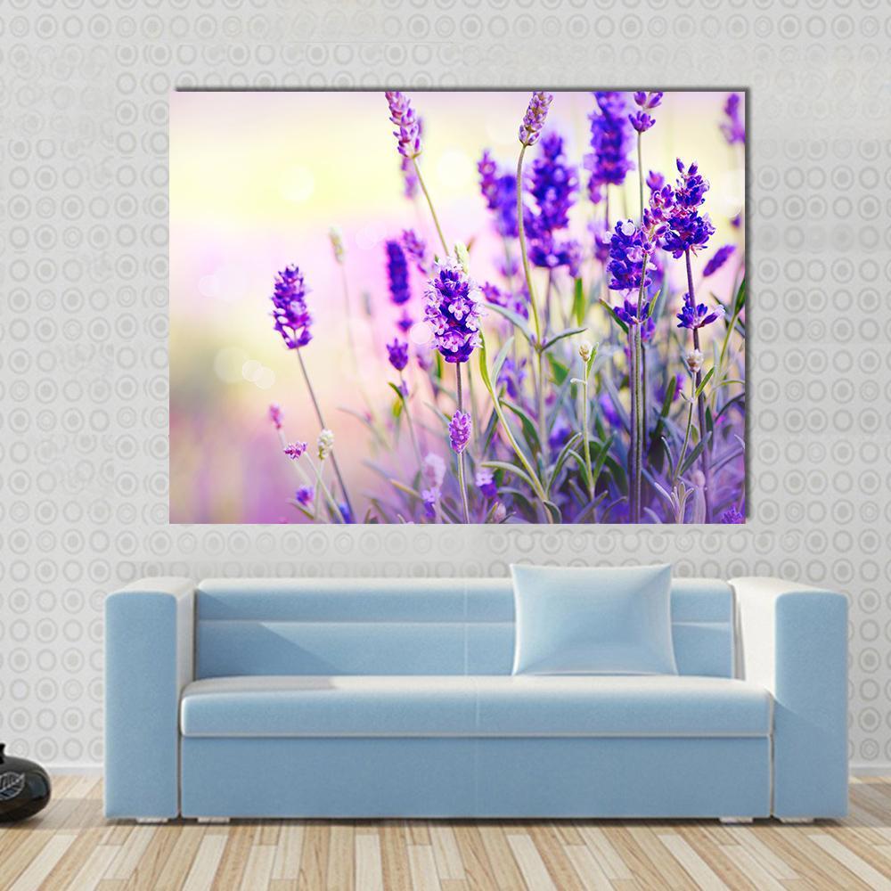 Beautiful Lavender Field Canvas Wall Art-1 Piece-Gallery Wrap-48" x 32"-Tiaracle