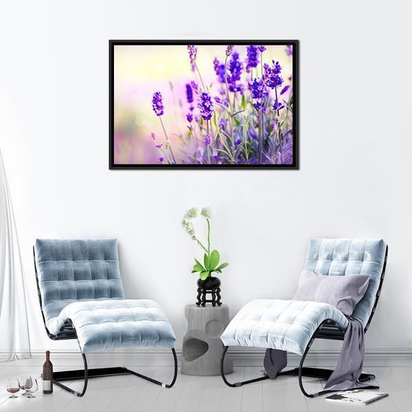 Beautiful Lavender Field Canvas Wall Art-3 Horizontal-Gallery Wrap-25" x 16"-Tiaracle
