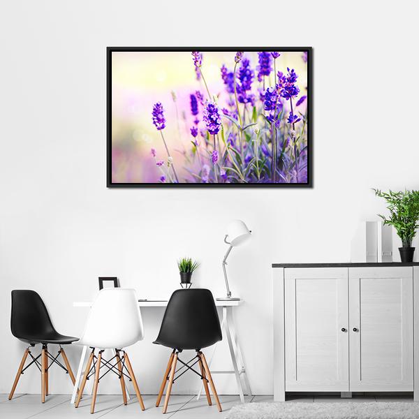 Beautiful Lavender Field Canvas Wall Art-3 Horizontal-Gallery Wrap-25" x 16"-Tiaracle