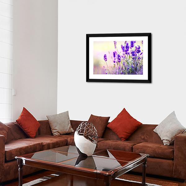 Beautiful Lavender Field Canvas Wall Art-3 Horizontal-Gallery Wrap-25" x 16"-Tiaracle