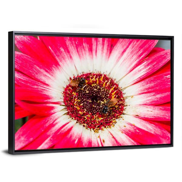 Beautiful Spring Flower Canvas Wall Art-3 Horizontal-Gallery Wrap-25" x 16"-Tiaracle