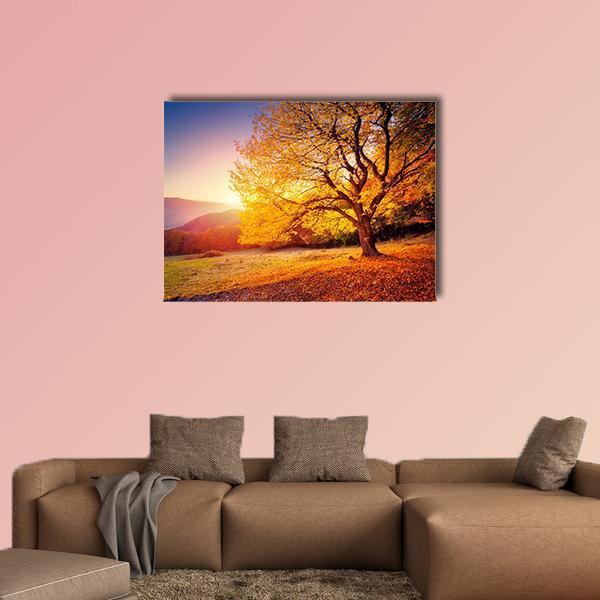 Beech Tree On A Hill Slope With Sunny Beams Canvas Wall Art-1 Piece-Gallery Wrap-48" x 32"-Tiaracle