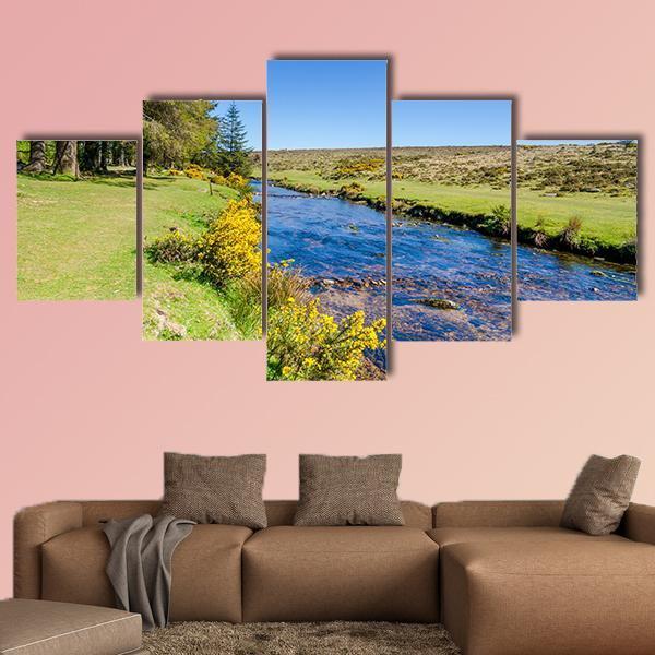 Bellever Forest & Dart River Canvas Wall Art-5 Star-Gallery Wrap-62" x 32"-Tiaracle