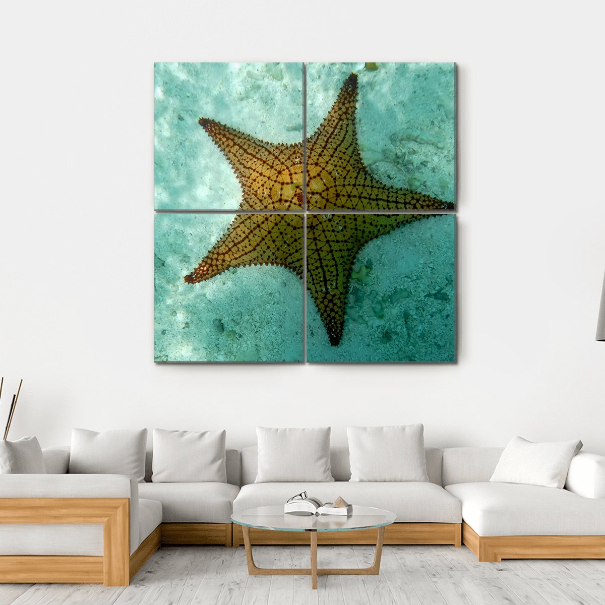 Big Starfish Canvas Wall Art-4 Square-Gallery Wrap-17" x 17"-Tiaracle