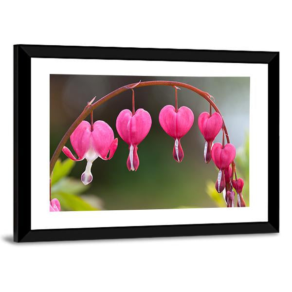 Bleeding Heart Flowers Canvas Wall Art-5 Horizontal-Gallery Wrap-22" x 12"-Tiaracle