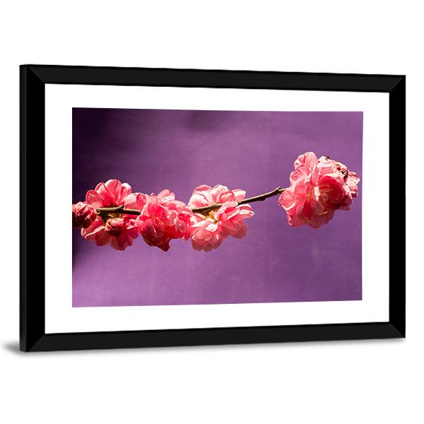 Bloom Blossom Flowers Canvas Wall Art-3 Horizontal-Gallery Wrap-25" x 16"-Tiaracle