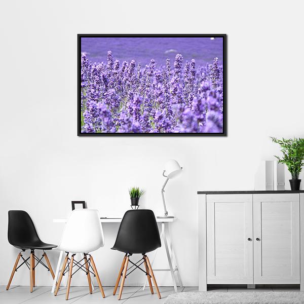 Blooming Lavenders Field Canvas Wall Art-3 Horizontal-Gallery Wrap-25" x 16"-Tiaracle
