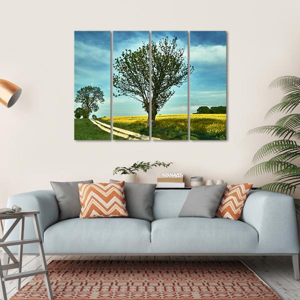 Blooming Rapeseed Poland Canvas Wall Art-4 Horizontal-Gallery Wrap-34" x 24"-Tiaracle