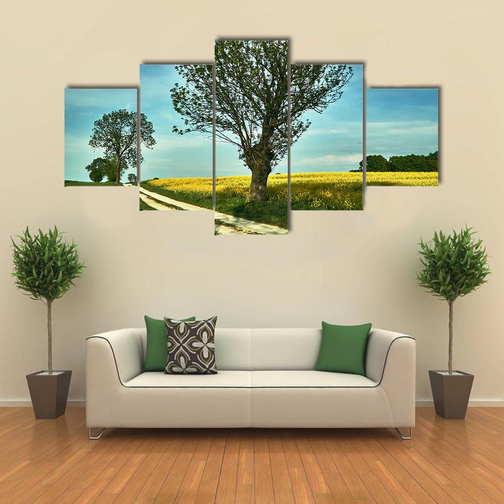 Blooming Rapeseed Poland Canvas Wall Art-5 Star-Gallery Wrap-62" x 32"-Tiaracle