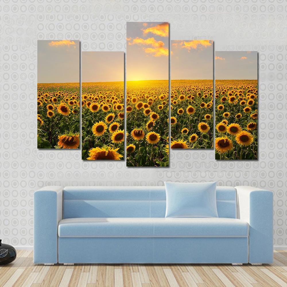 Blooming Sunflowers At Sunset Canvas Wall Art-5 Pop-Gallery Wrap-47" x 32"-Tiaracle