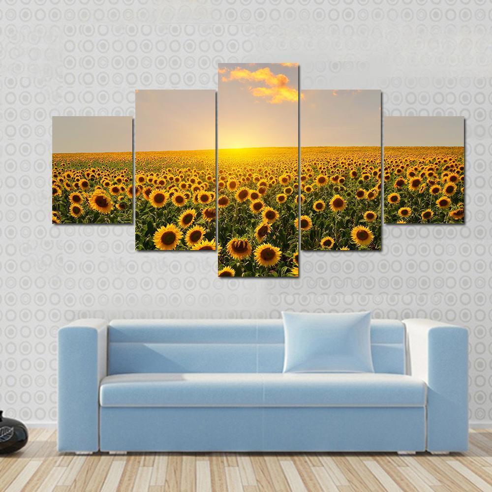 Blooming Sunflowers At Sunset Canvas Wall Art-5 Star-Gallery Wrap-62" x 32"-Tiaracle