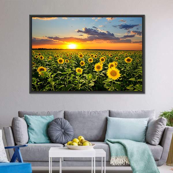 Blooming Sunflowers Canvas Wall Art-3 Horizontal-Gallery Wrap-25" x 16"-Tiaracle
