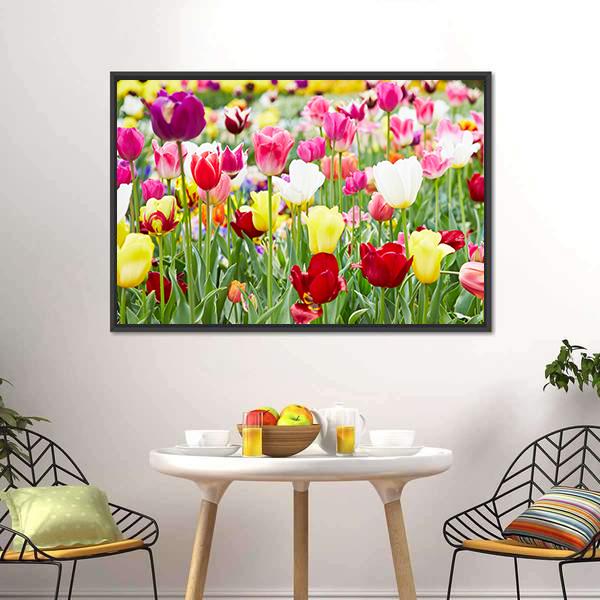 Blooming Tulips Canvas Wall Art-5 Horizontal-Gallery Wrap-22" x 12"-Tiaracle