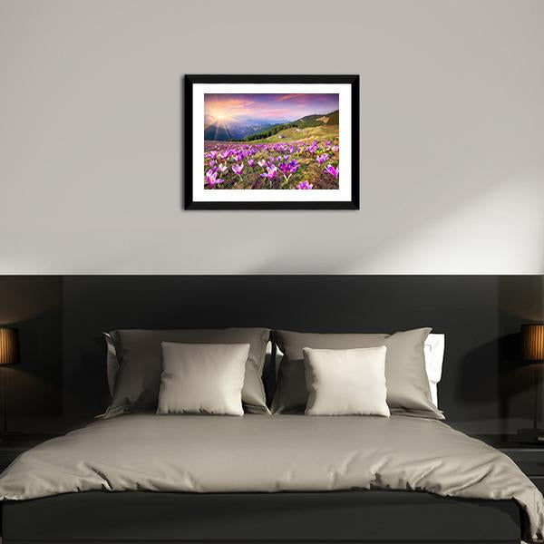 Blossom Of Crocuses Canvas Wall Art-5 Horizontal-Gallery Wrap-22" x 12"-Tiaracle