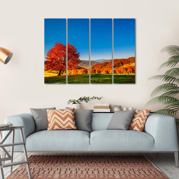 Carpathian Mountains In Autumn Canvas Wall Art-5 Horizontal-Gallery Wrap-22" x 12"-Tiaracle